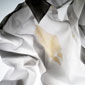 Fat stains Fat stains